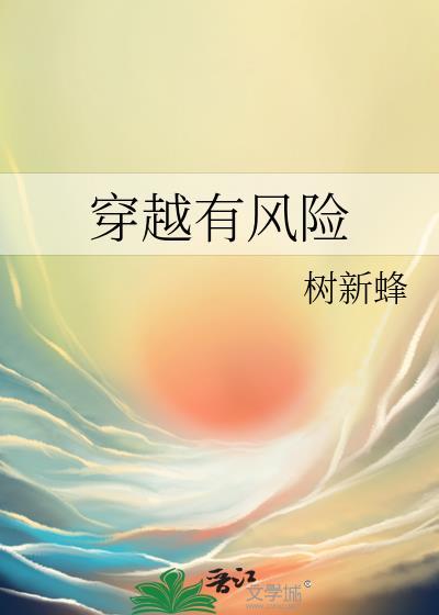穿越有风险封面