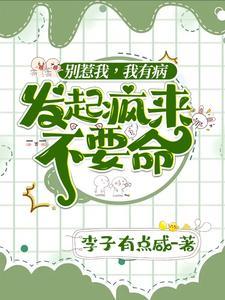 别惹我，我有病，发起疯来不要命封面
