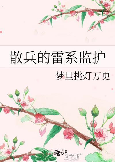 散兵的雷系监护封面