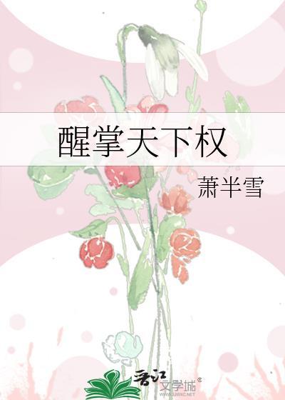 醒掌天下权封面