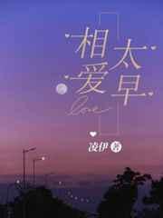 相爱太早封面