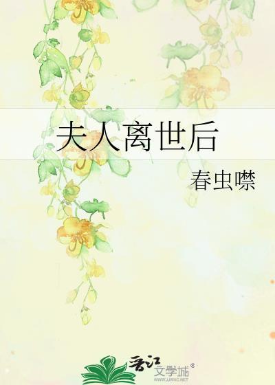 夫人离世后封面