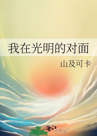 我在光明的对面封面