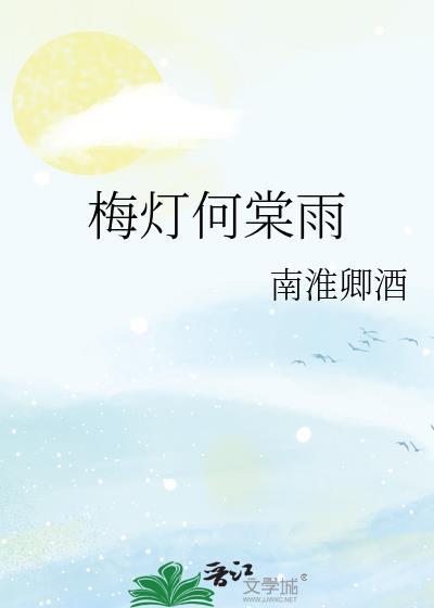 梅灯何棠雨封面