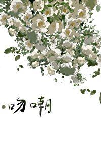吻嘲封面