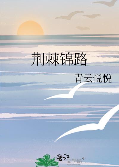 荆棘锦路封面