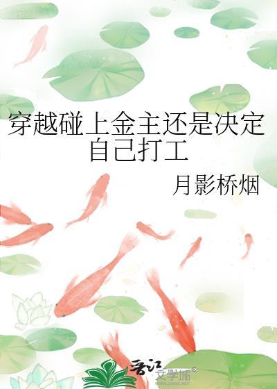 穿越碰上金主还是决定自己打工封面