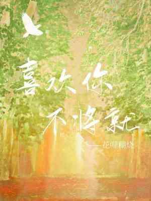 喜欢你，不将就封面