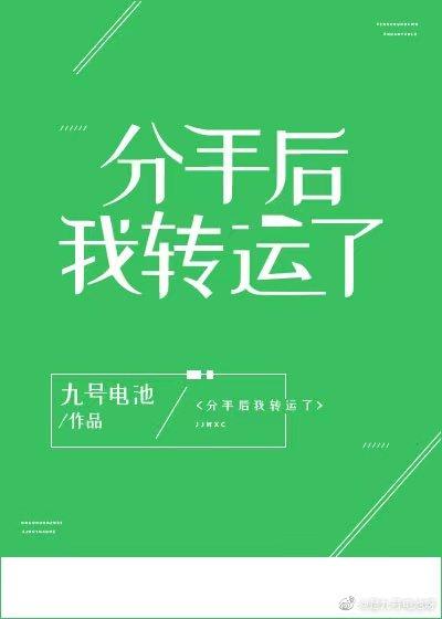 分手后我转运了封面