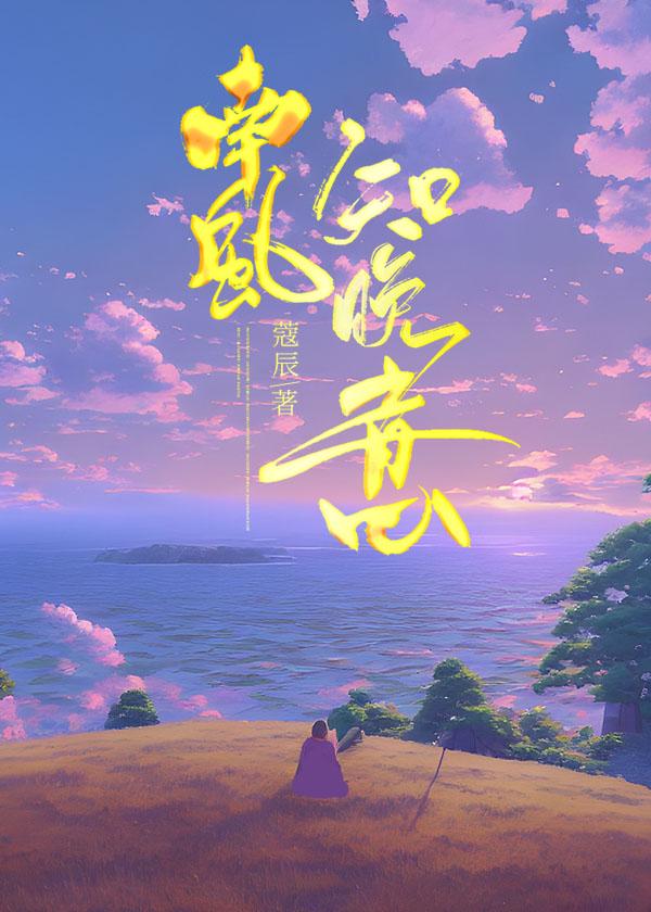 南风知晚意封面