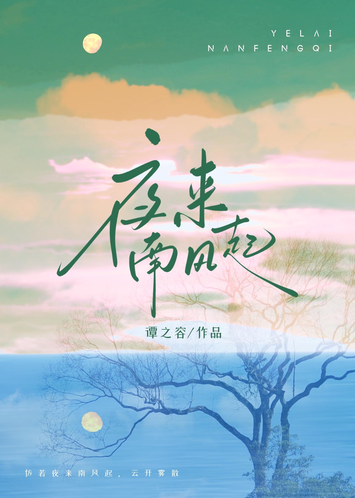 夜来南风起封面