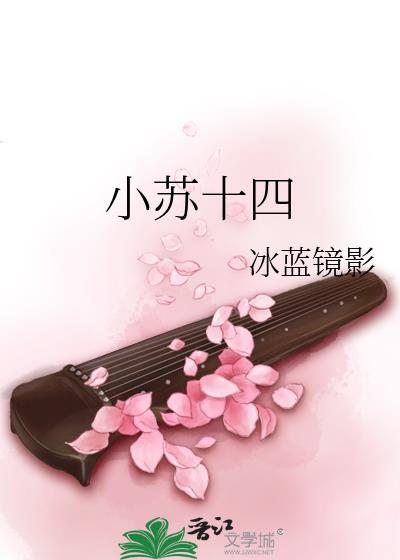 小苏十四封面