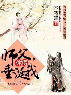 师父，休得垂涎我封面
