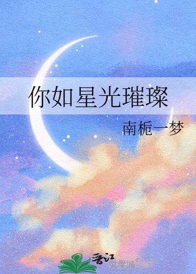 你如星光璀璨封面