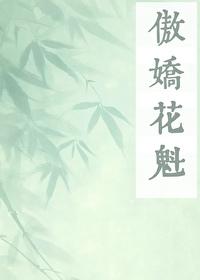 傲娇花魁【女尊】封面