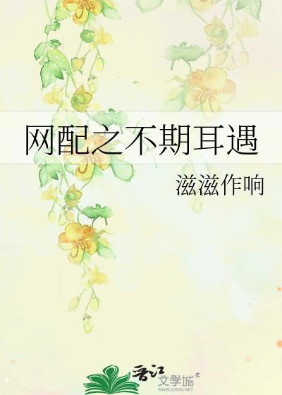 网配之不期耳遇封面