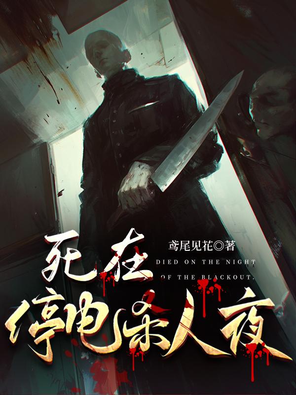 死在停电杀人夜封面