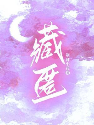 藏匿封面
