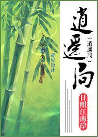 逍遥局封面