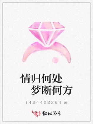 情归何处 梦断何方封面
