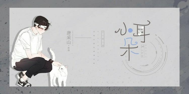 怀了总裁的孩子以后封面