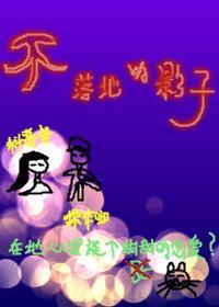 不落地的影子封面