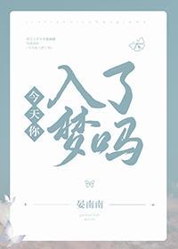 今天你入梦了吗封面