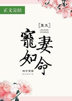 宠妻如命(重生)封面