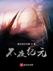 不夜纪元封面