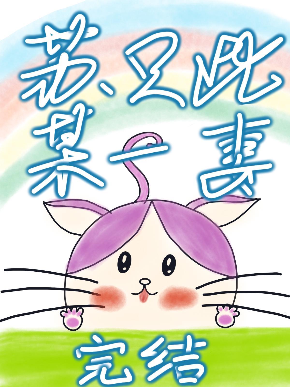 苏某只此一妻封面
