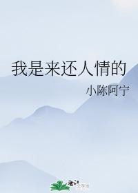 我是来还人情的封面