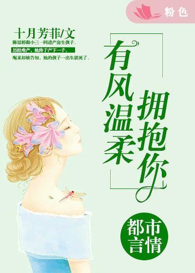 有风温柔拥抱你封面