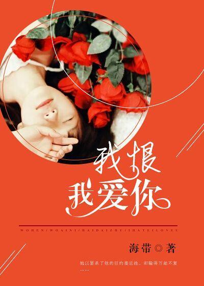 我恨我爱你封面