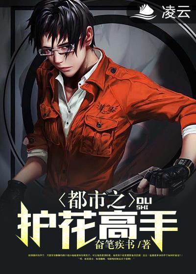 都市之护花高手封面