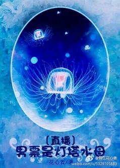 男票是灯塔水母〔直播〕封面