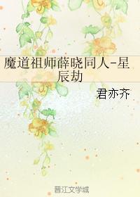 魔道祖师薛晓同人-星辰劫封面