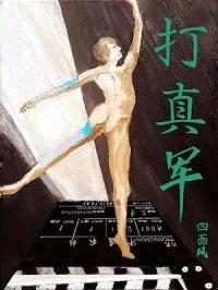 打真军封面