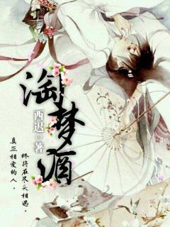 淘梦酒封面