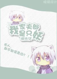我家夫郎是只妖封面
