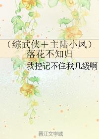 （综武侠＋主陆小凤）落花不知归封面