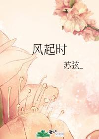 风起时封面