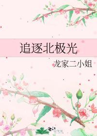 追逐北极光封面