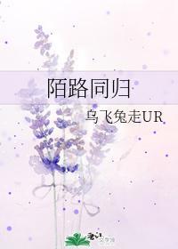 陌路同归封面