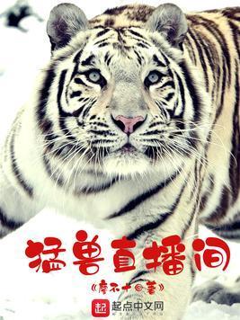 猛兽直播间封面