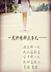 一见钟情那点事儿封面