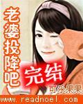 老婆投降吧封面