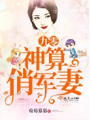 九零神算俏军妻封面