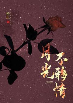 月光不移情封面