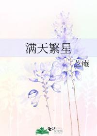满天繁星封面