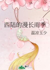 西陆的漫长雨季封面